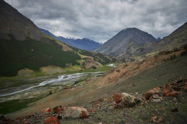 Altai Dağları boyunca seyahat, dağların yamaçlarından akan dağ tepelerinin, nehirlerin ve nehirlerin inanılmaz doğası. Altai Cumhuriyeti, Rusya