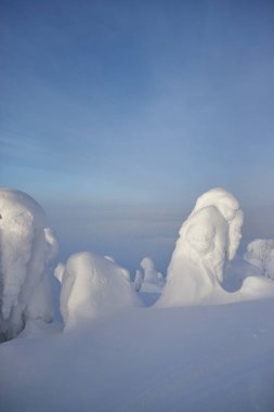 Laponya kış manzarası, ağaç karı kış doğası, Noel Finlandiya ormanı, don dağı, arktik lapland gün batımı, İskandinavya, cennet gibi kuzey manzarası gündoğumu, peri masalı.