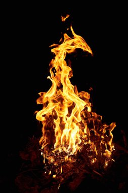 Parlak alevler karanlık arka planda dans eder. Ateşin turuncu parıltısı geceyi sıcaklık ve ışıkla aydınlatır.