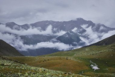 Akşam yaklaşırken, kasvetli bir gökyüzünün altında yuvarlanan tepelerin arasına yuva yapmış yemyeşil bir vadi.