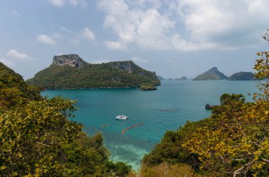 Tekneler berrak bir gökyüzünün altındaki yemyeşil tepelerle çevrili sakin bir körfezde yüzerler.