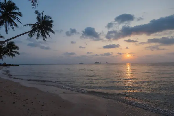 Matahari Terbenam Melemparkan Cahaya Hangat Atas Pantai Berpasir Berjajar Dengan Stok Gambar