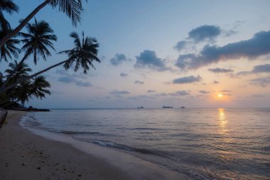 Okyanusun üzerinde renkli bir günbatımına karşı silueti olan tropikal bir sahil manzarası..