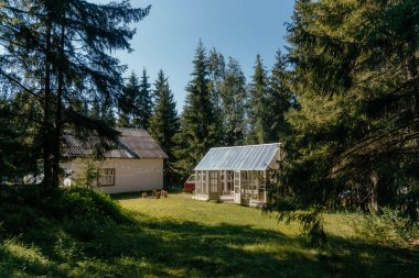 Davetkar bir ev ve büyüleyici bir sera huzurlu bir ormanda yuva kurar, sıcak öğleden sonra ışığında yıkanır, yüksek ağaçlar sakin bir atmosfer yaratır..