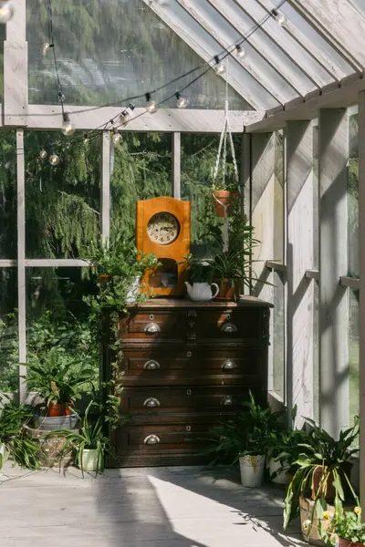 stock image In a bright greenhouse filled with natural light, a vintage clock sits atop a wooden dresser surrounded by vibrant plants and decorative items, creating a warm and inviting atmosphere.