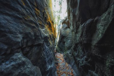 Güneş ışığı dar bir kanyona dökülür ve dokulu kaya duvarlarını aydınlatır. Düşen yapraklar zemini kaplar, sonbahar boyunca tenha ormanın sakin atmosferini güçlendirir..