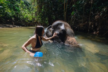 Mayo giyen bir kadın yoğun yeşilliklerle çevriliyken sığ sularda bir fili nazikçe okşar. Güneş ışığı ağaçların arasından süzülüp sakin bir atmosfer yaratır..