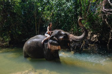 Kadın, sığ bir nehirde yürüyen bir file binerek, öğleden sonra güneşinin altında sakin manzarayı çevreleyen canlı yeşillikle eşsiz bir deneyim yaşamaktan hoşlanıyor..