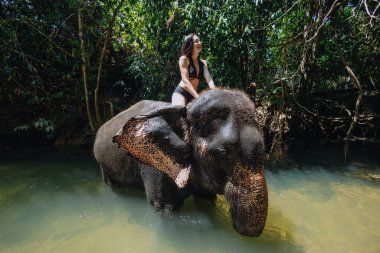 Kadın, sakin bir nehirde, doğal güzelliğin içinde bir filin tepesinde oturuyor. Etrafı canlı ağaçlarla çevrili olan atmosfer, doğayla uyum içinde hareket ettikçe huzurlu ve neşeli..