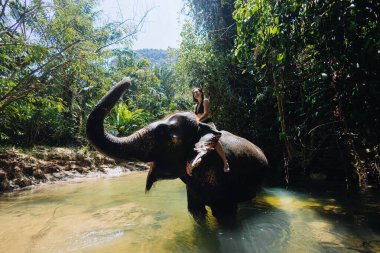 Berrak bir nehirde, yemyeşil bir tropikal bitki örtüsüyle yıkanan bir file binerken kızın eşsiz bir deneyimi var..