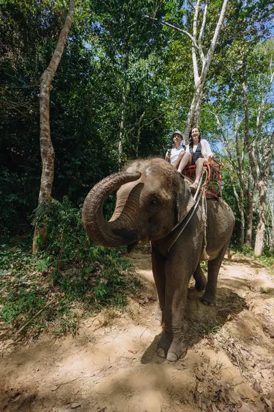 Yoğun yeşilliklerle çevrili bir patikada iki kişi file biniyor. Gündüz vakti doğada maceralı bir geziye işaret eden ağaçlarla dolu bir ortam..