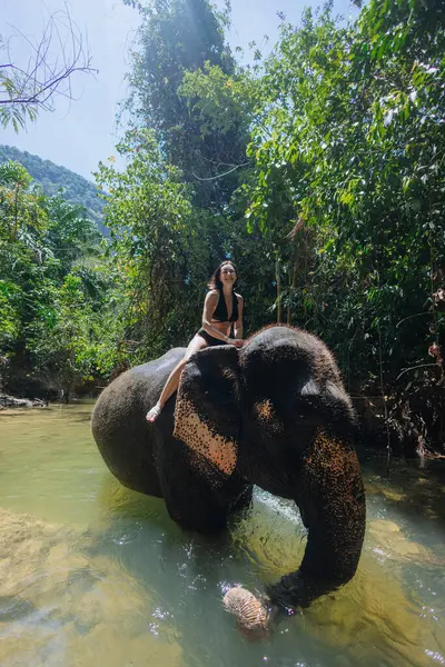 Kadın yoğun yeşilliklerle çevrili sığ sularda bir file biniyor. Güneş ışığı ağaçların arasından süzülür ve fil neşeyle sıçrarken huzurlu bir atmosfer yaratır..