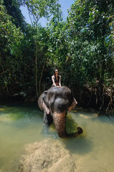 Bereketli yeşilliklerle çevrili sakin bir nehirde, bir insan bir fille yakın temastan zevk alır. Güneş ışığı ağaçların arasından süzülüyor, güzel sahneyi vurguluyor.