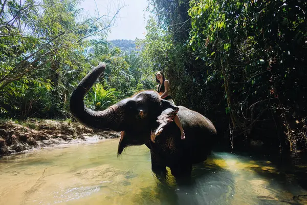 Berrak bir nehirde, yemyeşil bir tropikal bitki örtüsüyle yıkanan bir file binerken kızın eşsiz bir deneyimi var..