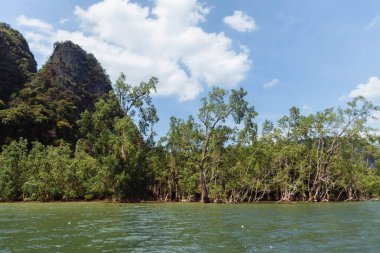 Nehir kıyısı boyunca yemyeşil mangrov ağaçları büyür. Arkaplandaki görkemli kayalık tepeler parlak mavi bir gökyüzünün altında yükselir. Sakin su manzaranın doğal güzelliğini yansıtır..