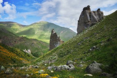 Bereketli yeşillikler ve renkli kır çiçekleriyle çevrili kendine özgü kaya oluşumlarının yer aldığı dağlık bir vadinin çarpıcı manzarası. Berrak gökyüzü manzaranın sakin atmosferine eklenir.