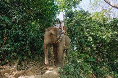 İki insan, yoğun yeşilliklerin arasında, gün boyunca canlı bir orman ortamında ağaçlar ve tropikal bitkilerle çevrili bir fil üzerinde heyecanlı bir gezintinin tadını çıkarıyor..
