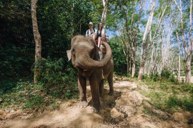 Canlı yeşilliklerle çevrili dolambaçlı bir patika boyunca bir file binen iki kişi görülüyor. Zengin yaban hayatı ve doğal güzellikleri keşfederken atmosfer sakin..