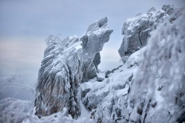 Yoğun kara sarılı eşsiz kayalık oluşum bulutlu kış gökyüzüne karşı çarpıcı bir kontrast yaratır. Buzlu ağaçlar çevreyi sarar, dingin ve serin atmosferi arttırır. Taganay Doğa Parkı, Rusya