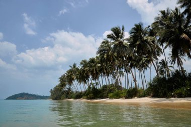 Parlak mavi gökyüzü ve kabarık bulutlar, rüzgarda sallanan yüksek palmiye ağaçları ile kaplı sakin bir plaja bir zemin sağlar..
