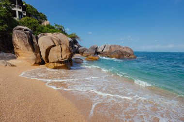 Sakin kumsalda, kumsalda hafif dalgaların dalgalandığı pürüzsüz kayalar, canlı turkuaz suları ve berrak mavi gökyüzünü ortaya çıkarıyor..