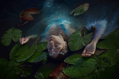 Zarif bir tacı olan bir kadın, durgun suda nilüferler arasında zarif bir şekilde süzülüyor, mavi bir elbise giyiyor. Yumuşak ışık çevreye biraz sihir ve sükunet katar..