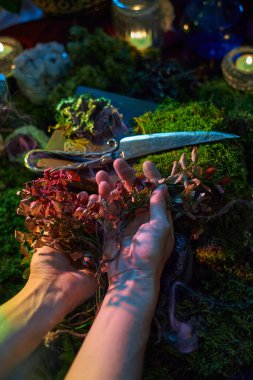 Two hands are carefully holding red leaves while a pair of scissors rests nearby on moss. scene has a mystical ambiance, illuminated by soft light from candles.