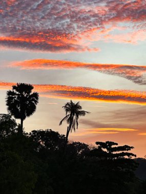 Sunset on Ko Ngai with dramatic skies and the silhouette of the palm trees clipart