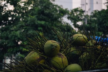 Arka planda ağaçlar olan bir arabanın tepesinde bir grup genç hindistan cevizi; Bangkok, Tayland sokaklarında mobil bir stantta çekilmiş fotoğraf