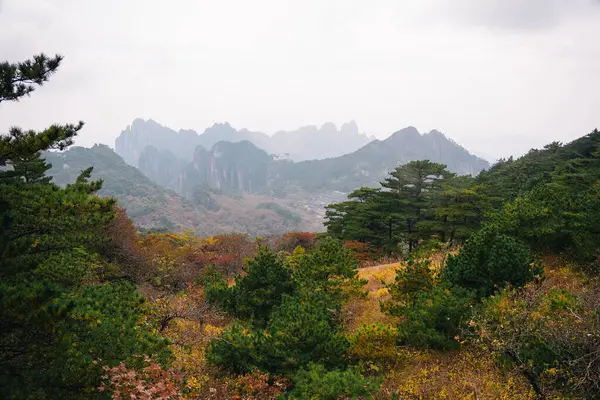 Sarı Dağ, Huangshan, Çin 'de sonbahar manzarası