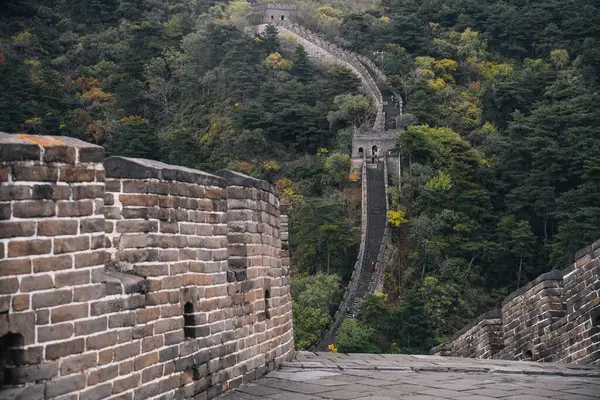 Çin Seddi, tuğla duvarlı patika ve gözetleme kuleleri arasında birkaç adım, sonbahar günü birkaç turistin yürüdüğü ve gezdiği dağlık bir orman ile çevrili, Pekin, Çin yakınlarında.