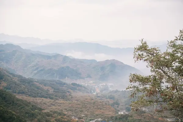 Sisli ormanın, köyün ve dağların havadan görünüşü, sonbaharda altın ağaç yaprağı renkleriyle, Pekin yakınlarındaki Çin Seddi 'nin manzarası.