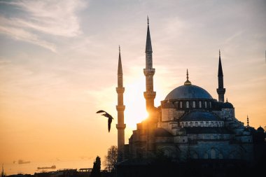 Gün batımında Sultan Ahmed 'in silueti ya da Mavi Cami Camii' nin gölgesi. Arka planda bir martı uçuşuyor ve Boğaz var.