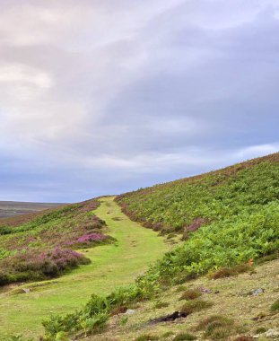 Tipik İngiliz manzarası, sonsuz yeşil tepelerin muhteşem manzarası ve koyu mavi gökyüzü. Yağmur konseptinden önce.