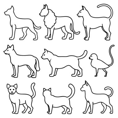 Köpek siluetlerinin vektör formatında çok yönlü bir koleksiyonu. Logolar, baskılar ve tasarım projeleri için idealdir. Minimalist ve zarif siyah ve beyaz ana hatları olan köpek türlerini barındırır..