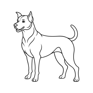 Köpek siluetlerinin vektör formatında çok yönlü bir koleksiyonu. Logolar, baskılar ve tasarım projeleri için idealdir. Minimalist ve zarif siyah ve beyaz ana hatları olan köpek türlerini barındırır..