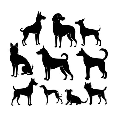 Köpek siluetlerinin vektör formatında çok yönlü bir koleksiyonu. Logolar, baskılar ve tasarım projeleri için idealdir. Minimalist ve zarif siyah ve beyaz ana hatları olan köpek türlerini barındırır..