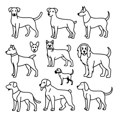Köpek siluetlerinin vektör formatında çok yönlü bir koleksiyonu. Logolar, baskılar ve tasarım projeleri için idealdir. Minimalist ve zarif siyah ve beyaz ana hatları olan köpek türlerini barındırır..