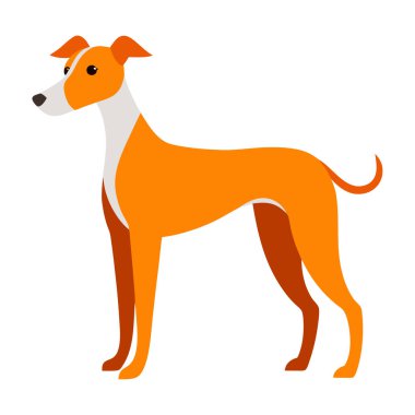 Köpek siluetlerinin vektör formatında çok yönlü bir koleksiyonu. Logolar, baskılar ve tasarım projeleri için idealdir. Minimalist ve zarif siyah ve beyaz ana hatları olan köpek türlerini barındırır..