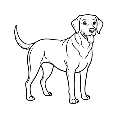 Köpek siluetlerinin vektör formatında çok yönlü bir koleksiyonu. Logolar, baskılar ve tasarım projeleri için idealdir. Minimalist ve zarif siyah ve beyaz ana hatları olan köpek türlerini barındırır..