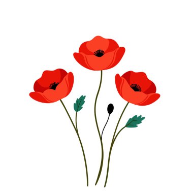 Beyaz arka planda canlı kırmızı gelincik çiçek vektör çizimi. Bu zarif ve detaylı tasarım çiçek temalı sanat, baskılar, kartlar veya dekorasyon projeleri için mükemmeldir..