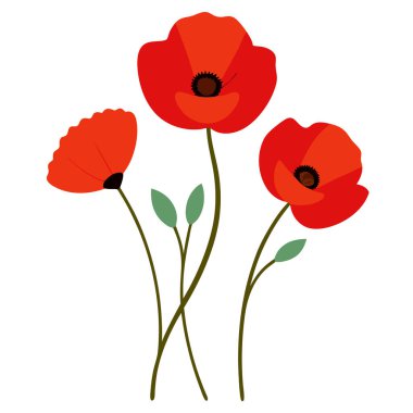 Beyaz arka planda canlı kırmızı gelincik çiçek vektör çizimi. Bu zarif ve detaylı tasarım çiçek temalı sanat, baskılar, kartlar veya dekorasyon projeleri için mükemmeldir..