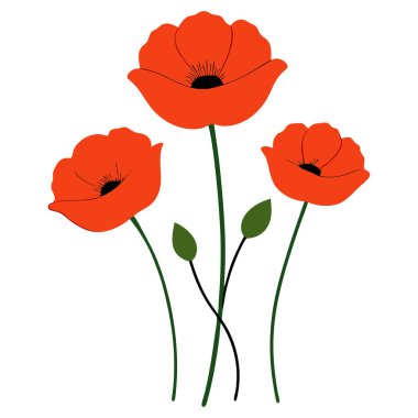 Beyaz arka planda canlı kırmızı gelincik çiçek vektör çizimi. Bu zarif ve detaylı tasarım çiçek temalı sanat, baskılar, kartlar veya dekorasyon projeleri için mükemmeldir..