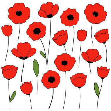 Beyaz arka planda canlı kırmızı gelincik çiçek vektör çizimi. Bu zarif ve detaylı tasarım çiçek temalı sanat, baskılar, kartlar veya dekorasyon projeleri için mükemmeldir..