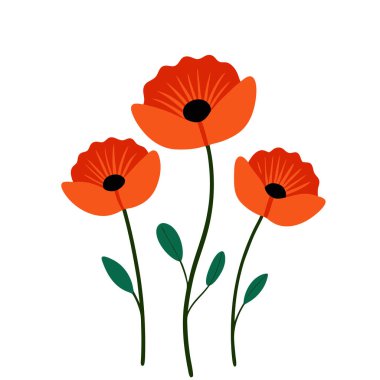 Beyaz arka planda canlı kırmızı gelincik çiçek vektör çizimi. Bu zarif ve detaylı tasarım çiçek temalı sanat, baskılar, kartlar veya dekorasyon projeleri için mükemmeldir..