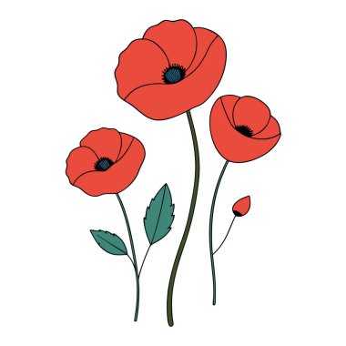 Beyaz arka planda canlı kırmızı gelincik çiçek vektör çizimi. Bu zarif ve detaylı tasarım çiçek temalı sanat, baskılar, kartlar veya dekorasyon projeleri için mükemmeldir..