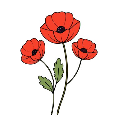 Beyaz arka planda canlı kırmızı gelincik çiçek vektör çizimi. Bu zarif ve detaylı tasarım çiçek temalı sanat, baskılar, kartlar veya dekorasyon projeleri için mükemmeldir..