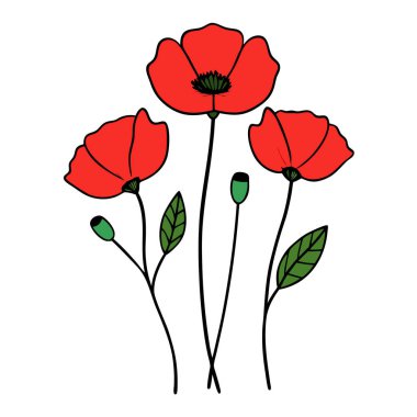 Beyaz arka planda canlı kırmızı gelincik çiçek vektör çizimi. Bu zarif ve detaylı tasarım çiçek temalı sanat, baskılar, kartlar veya dekorasyon projeleri için mükemmeldir..