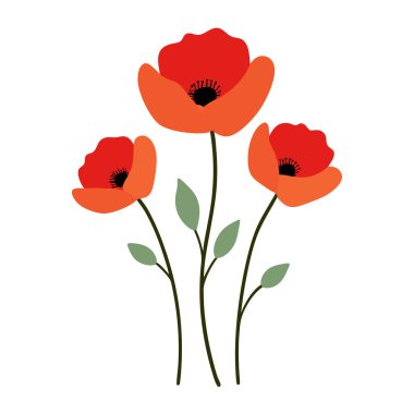 Beyaz arka planda canlı kırmızı gelincik çiçek vektör çizimi. Bu zarif ve detaylı tasarım çiçek temalı sanat, baskılar, kartlar veya dekorasyon projeleri için mükemmeldir..