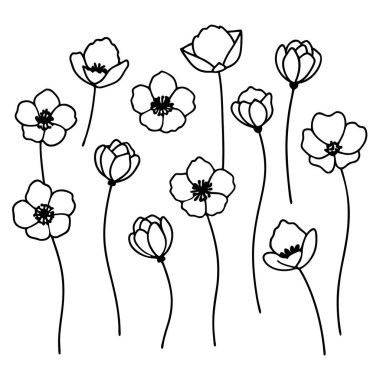 Beyaz arka planda canlı kırmızı gelincik çiçek vektör çizimi. Bu zarif ve detaylı tasarım çiçek temalı sanat, baskılar, kartlar veya dekorasyon projeleri için mükemmeldir..